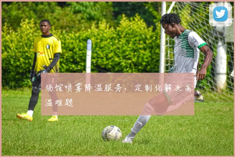 场馆喷雾降温服务，定制化解决高温难题